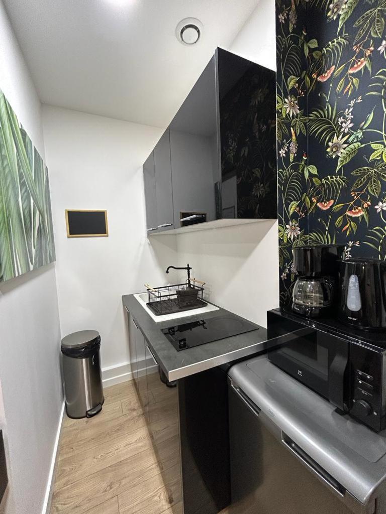 פריז Stylish Modern Studio Apartment מראה חיצוני תמונה